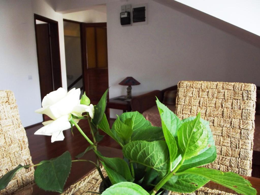 Apartments Budva Center Habitación foto